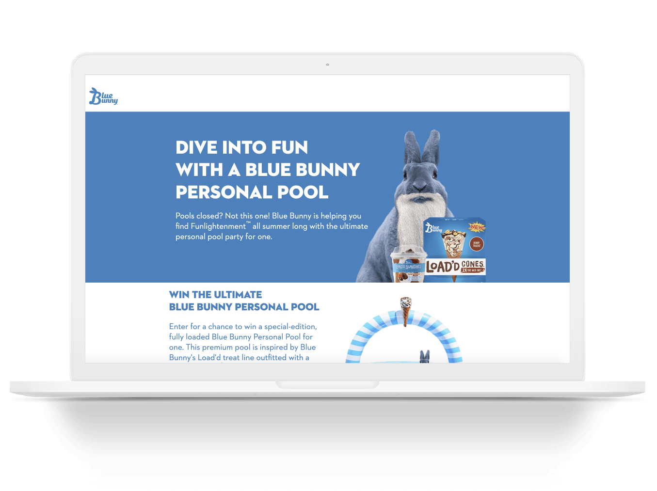 Blue Bunny Laptop