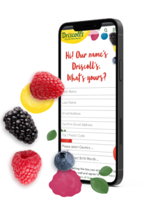 Driscoll's Berry Sweepstakes Promotional Websites form