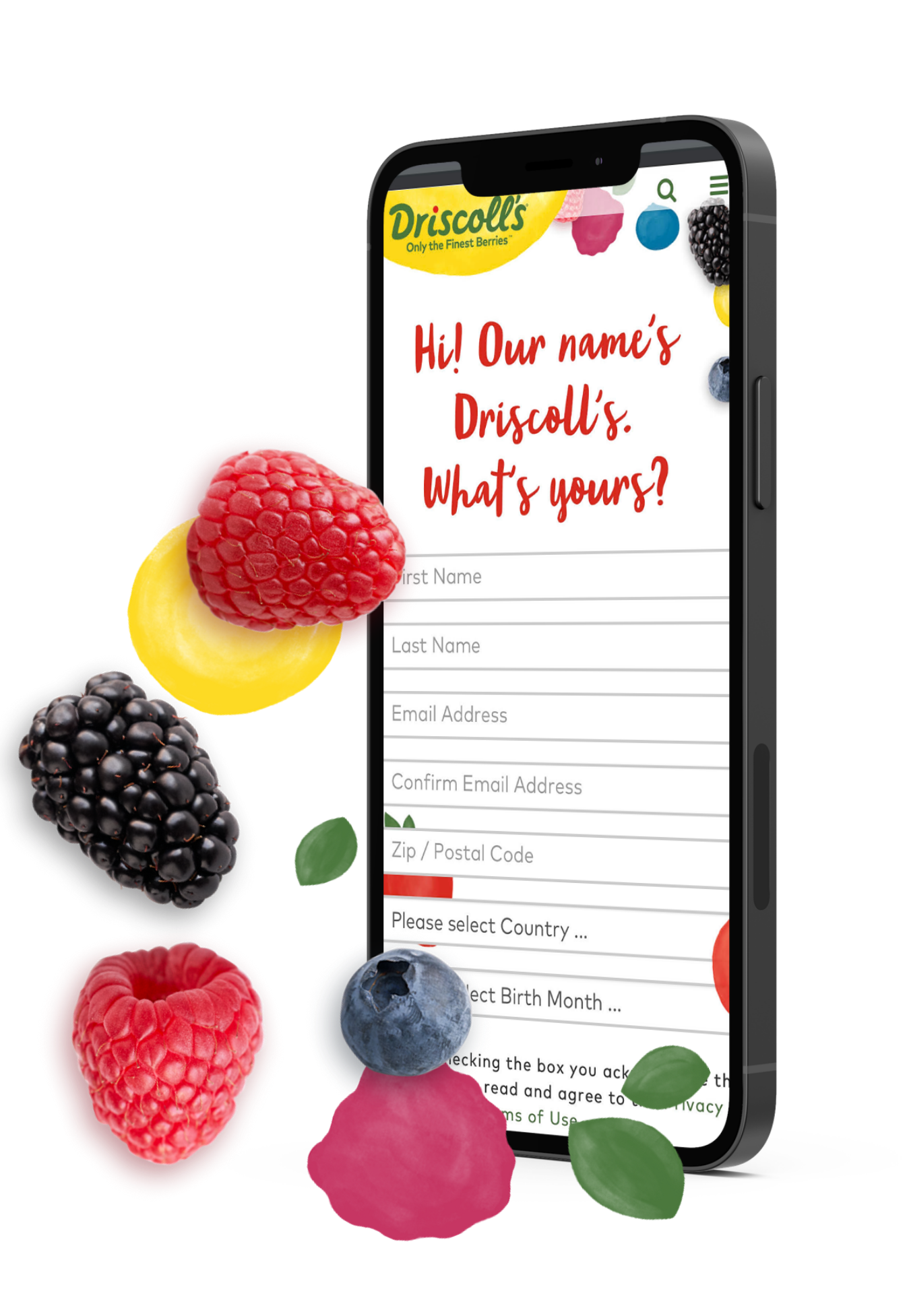 Driscoll's Berry Sweepstakes